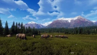 17. Way of the Hunter - Hunting Season One PL (PS5)